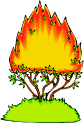 The Burning Bush (GOD who talked to Moses)