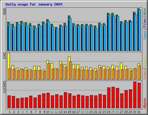 Daily usage for January 2025