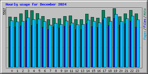 Hourly usage for December 2024