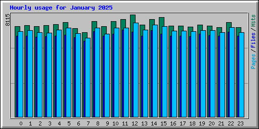 Hourly usage for January 2025