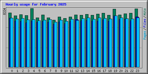 Hourly usage for February 2025